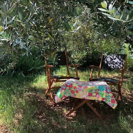 Magnolia
